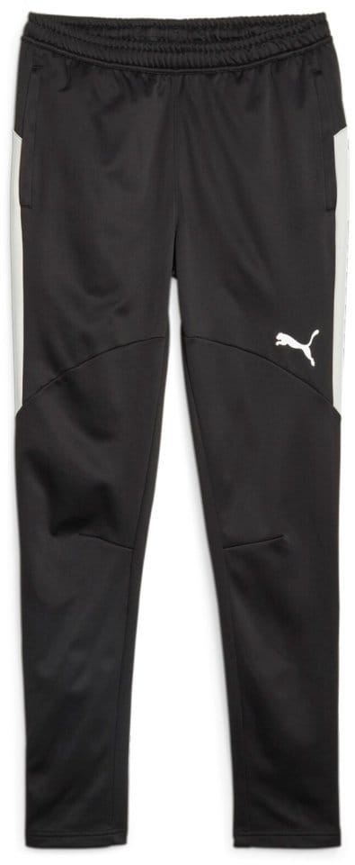 Spodnie Puma Individual Winterized Men's Football Pants