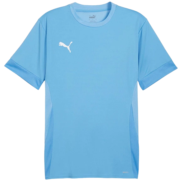 Koszulka Puma teamGOAL Matchday Jersey